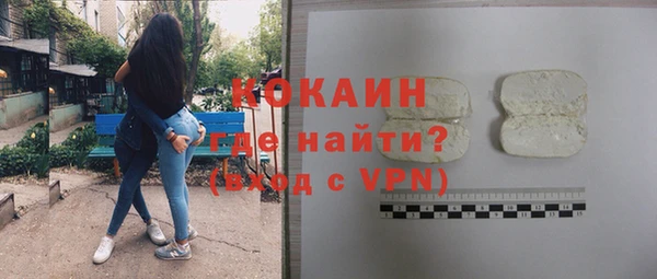 крисы Бородино