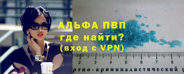 крисы Бородино