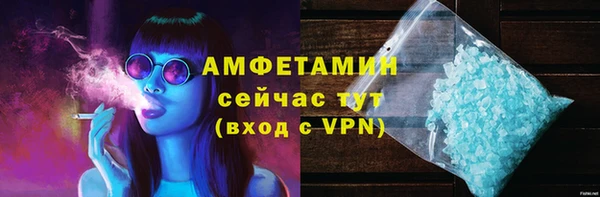 крисы Бородино