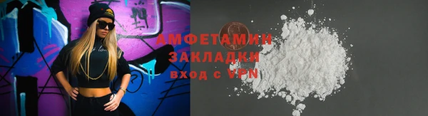 крисы Бородино