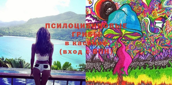 крисы Бородино