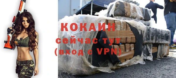 крисы Бородино