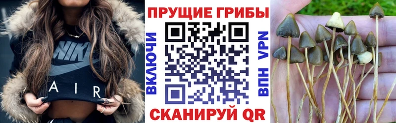 Псилоцибиновые грибы Psilocybine cubensis  Ростов-на-Дону 