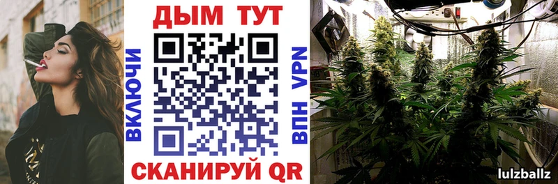дарк нет Telegram  цены   hydra ТОР  Ростов-на-Дону  Шишки марихуана индика 